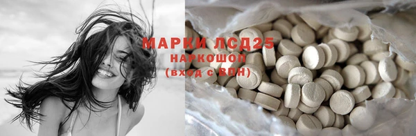 ГАЛЛЮЦИНОГЕННЫЕ ГРИБЫ Нягань