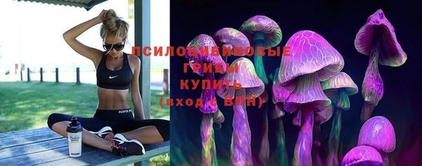 ГАЛЛЮЦИНОГЕННЫЕ ГРИБЫ Нягань