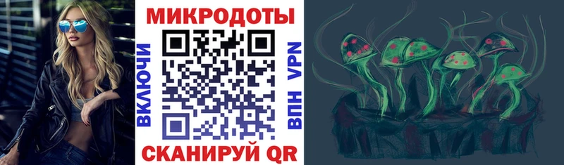 Псилоцибиновые грибы Psilocybine cubensis  Вязьма 