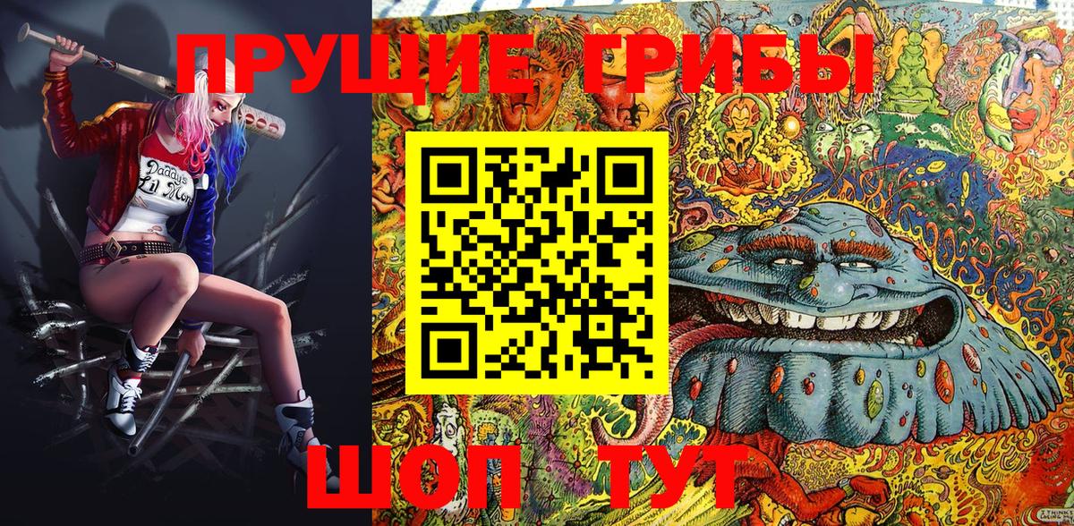 Псилоцибиновые грибы GOLDEN TEACHER  Вязьма 